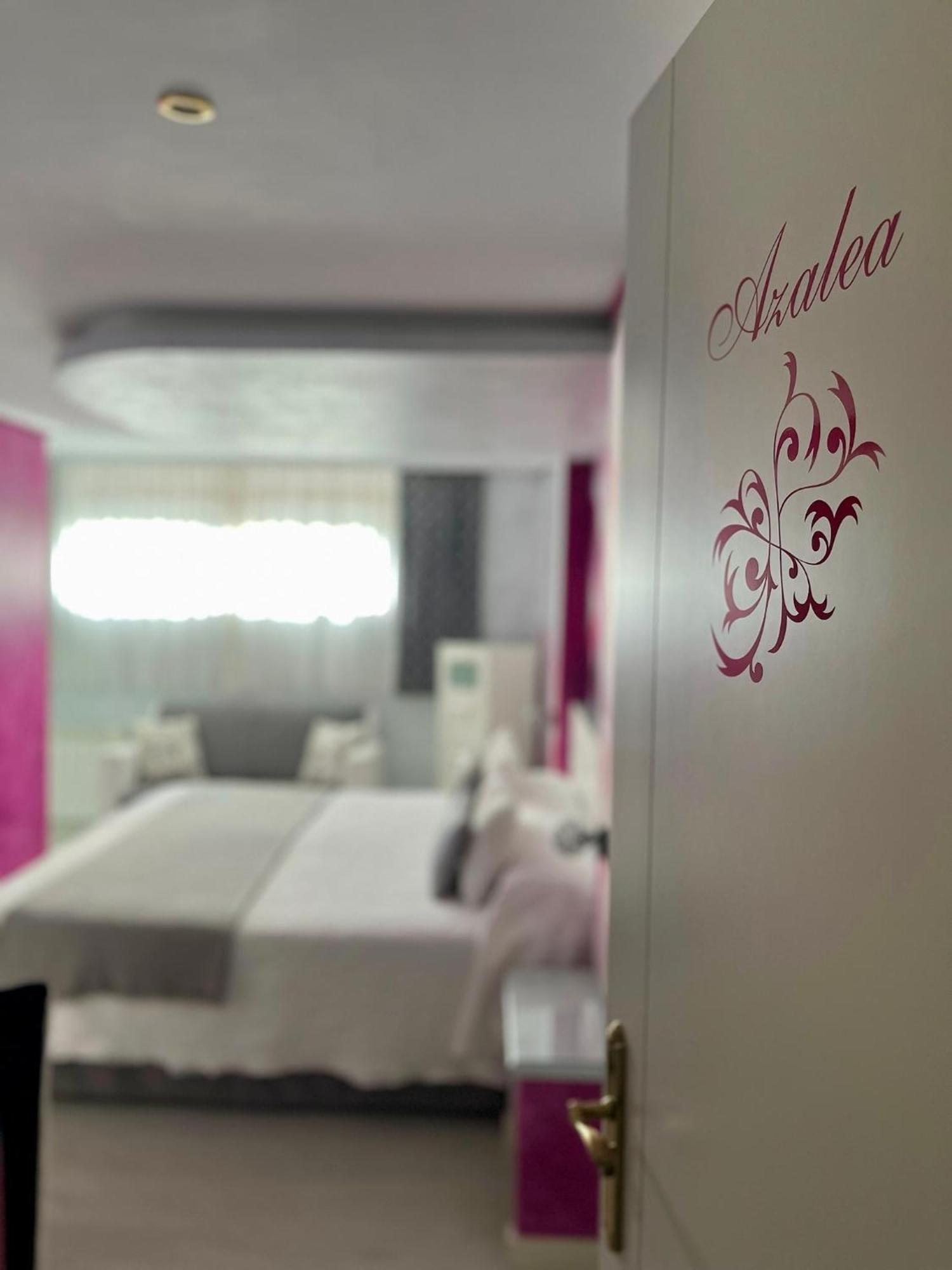 Hotel El Jardin Soto de la Marina Exteriér fotografie